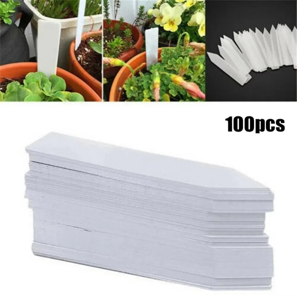 100 Etiquetas para Plantas, Ac - Embroidery Writing avaliação e preço